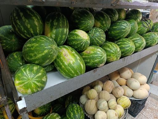 عکس میوه سرای ابوالفضل