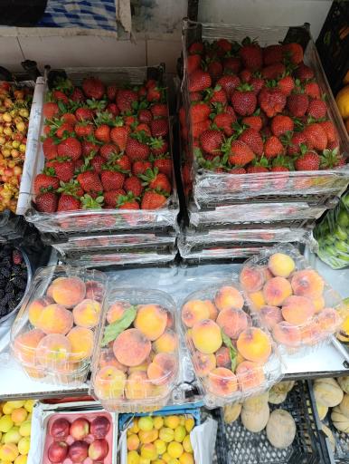 عکس میوه سرای ابوالفضل