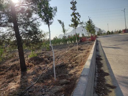 عکس باغ تندرستی