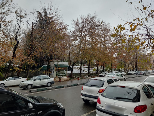 عکس کیوسک گل فروشی