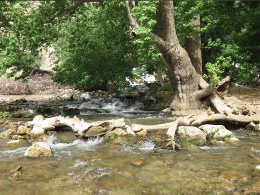 عکس آبشار زرد لیمه