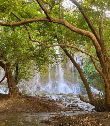 عکس آبشار زرد لیمه