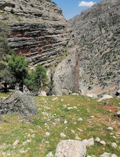 عکس آبشار زرد لیمه