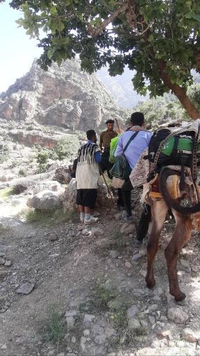 عکس آبشار زرد لیمه