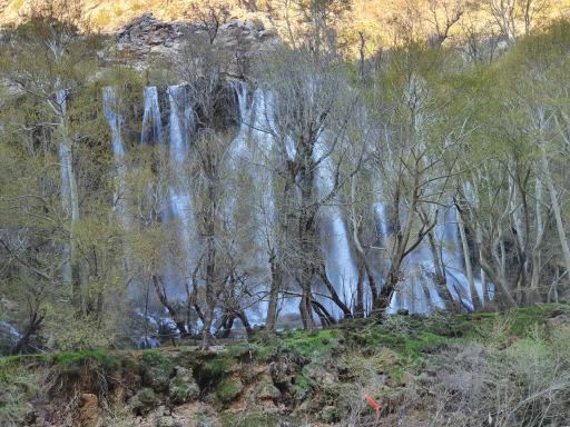 عکس آبشار زرد لیمه