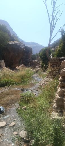 عکس دره شیرز