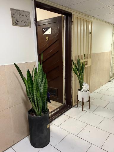 عکس آژانس آروید سفر آریایی 
