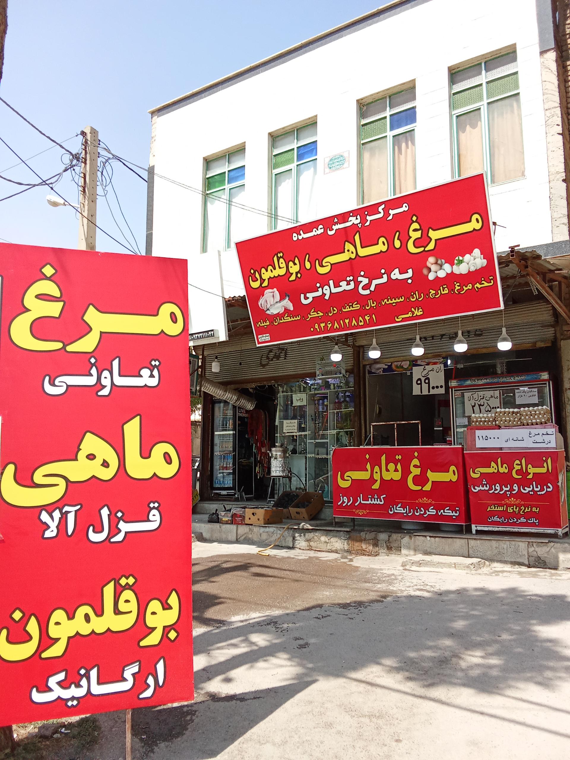 عکس مرغ و ماهی غلامی 