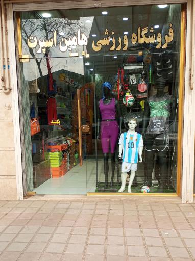 فروشگاه ورزشی هامین اسپرت