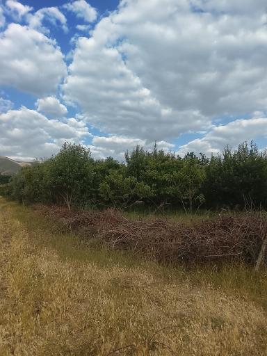 عکس پارک جنگلی فندقلو اهر
