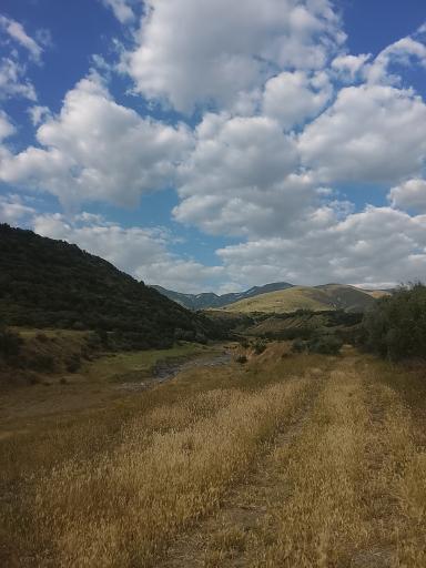 عکس پارک جنگلی فندقلو اهر