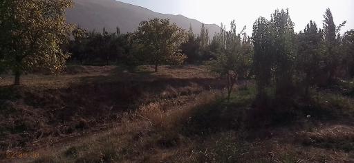 عکس نوخندان