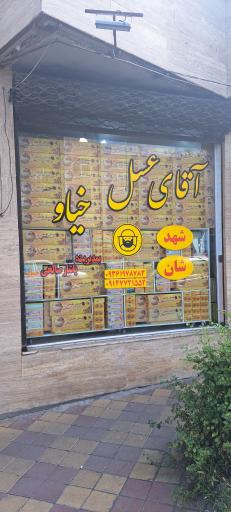 عکس آقای عسل خیاو