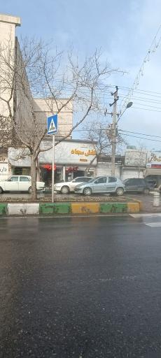 عکس کفش سجاد اسپرت