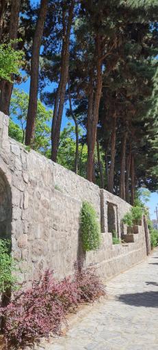 عکس باغ ملی