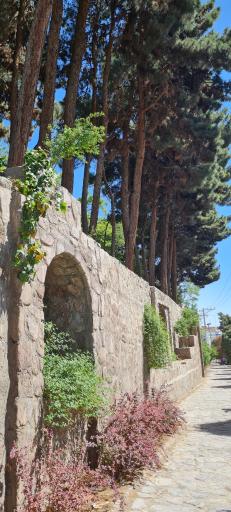 عکس باغ ملی