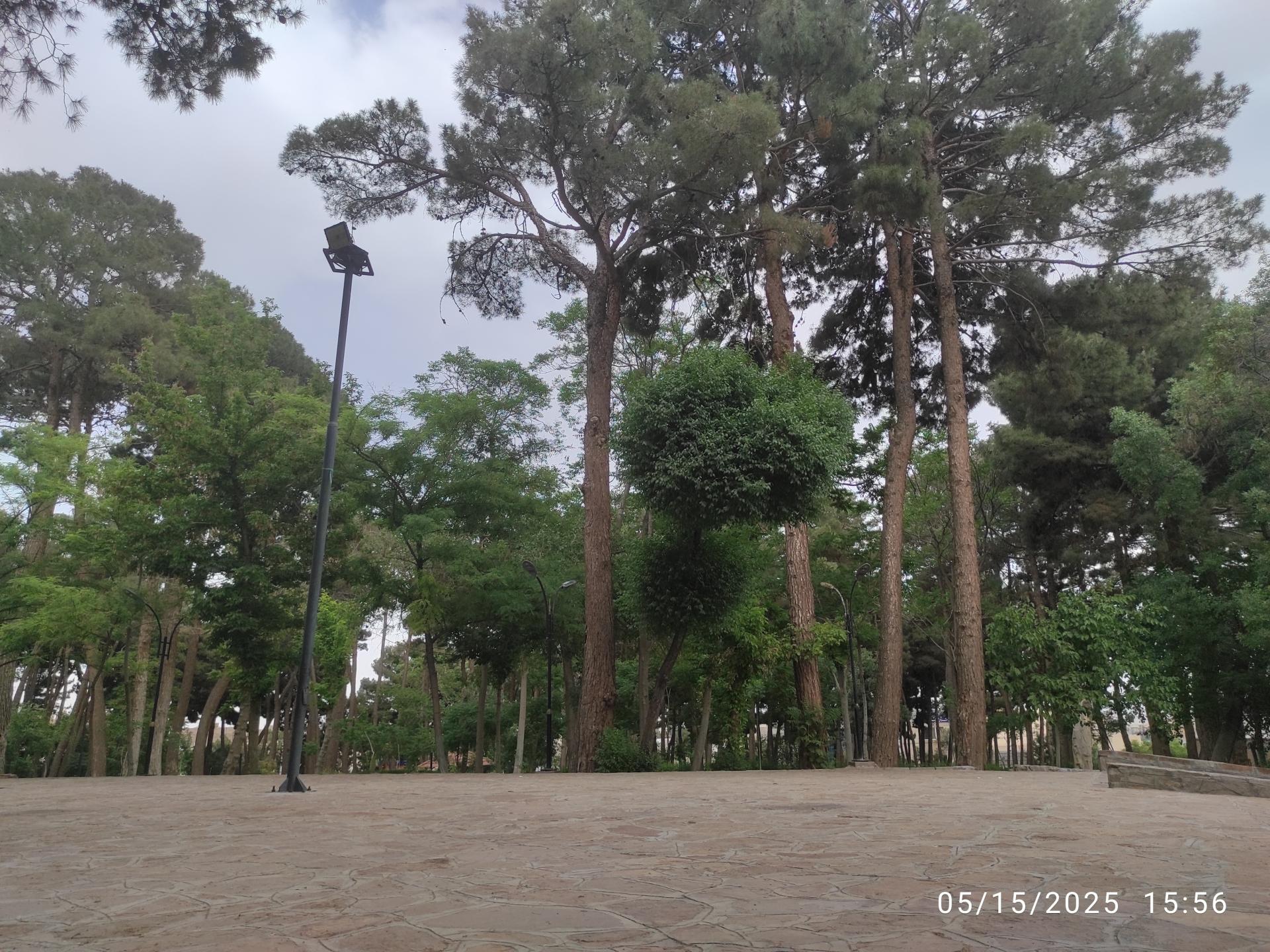 عکس باغ ملی