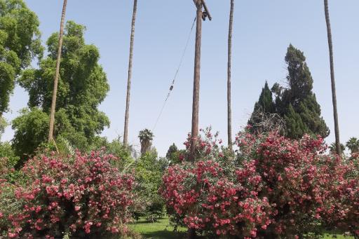 عکس دانشگاه علوم کشاورزی و منابع طبیعی خوزستان