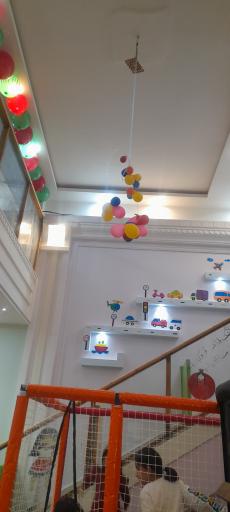 عکس خانه بازی داناکو