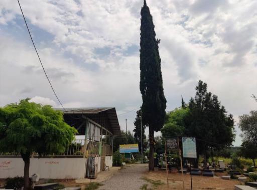 عکس آرامستان مطهری محله (کتی سر)