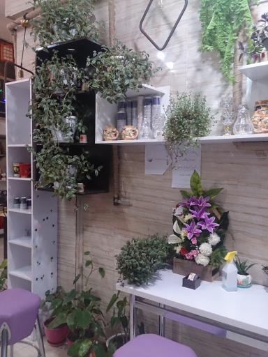 عکس نمایندگی قهوه هارپاگ