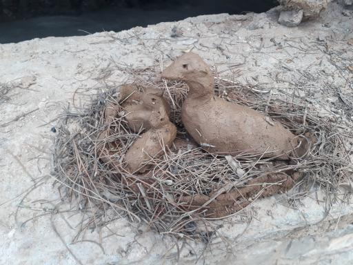 عکس کارگاه هنرهای تجسمی معدن متروکه