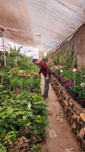 عکس گلباغ افرا