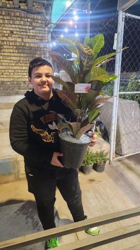 عکس گلباغ افرا