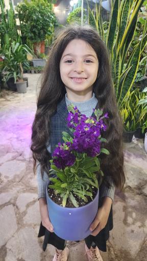 عکس گلباغ افرا