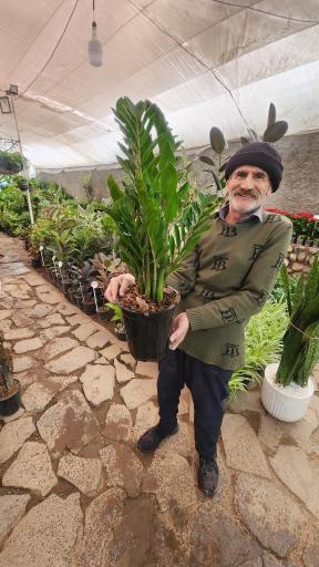 عکس گلباغ افرا