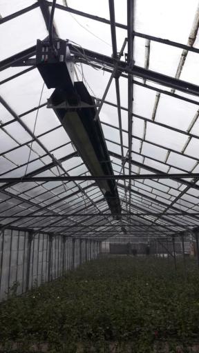 عکس اخگرتابش