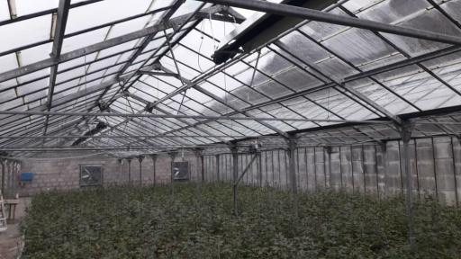 عکس اخگرتابش