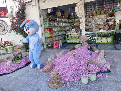 عکس تولیدی گلاب و عرقیات گیاهی درخشان 