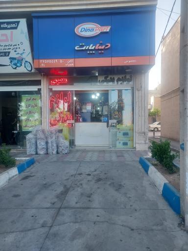 عکس نمایندگی دینا پارت