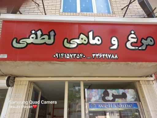 عکس مرغ و پروتئین فروشی لطفی 