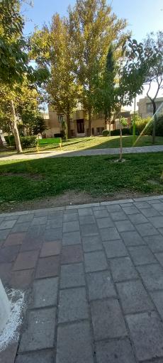 عکس بوستان گل گندم