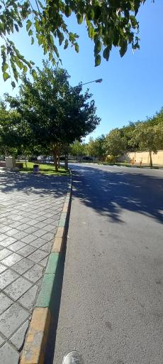 عکس بوستان گل گندم