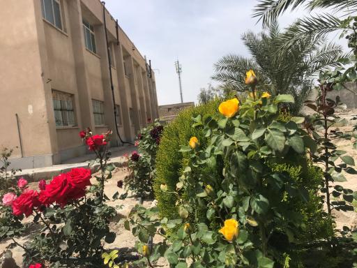 عکس هنرستان فنی شهید هاشمی نژاد