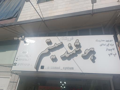 هوشمند سیستم