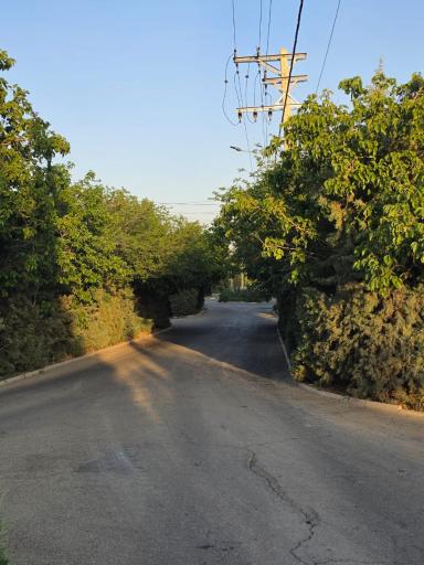 عکس باغشهر آرین