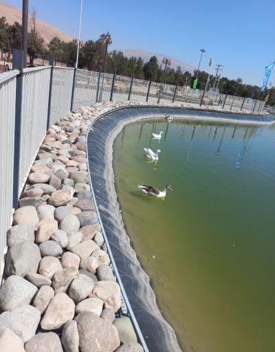 عکس دریاچه مصنوعی پارک پروفسور کردوانی