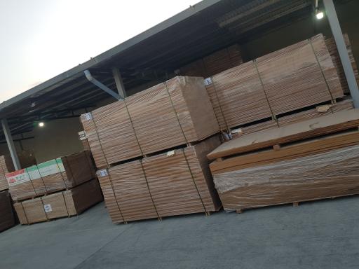 عکس چوب فروشی خزان