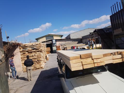 عکس چوب فروشی خزان