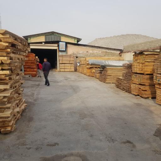 عکس چوب فروشی خزان