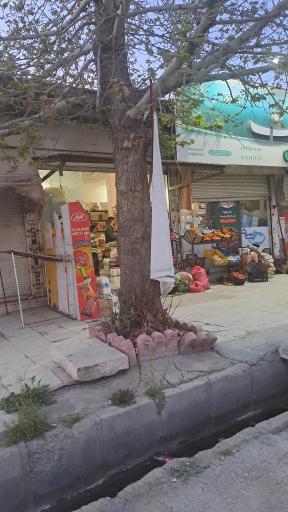 عکس فروشگاه صحت