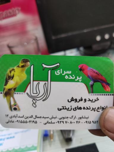 عکس پرنده سرای آریا