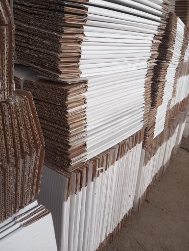 عکس طاها کارتن 