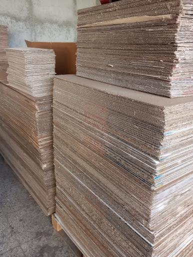 عکس طاها کارتن 