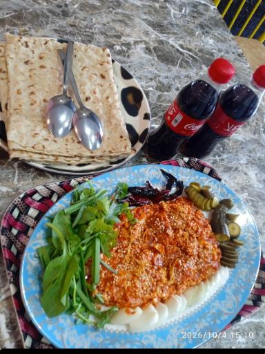 عکس آشکده پت و مت