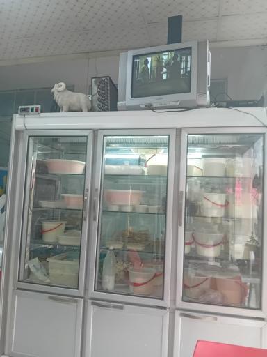 عکس لبنیات بهار